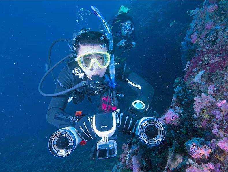 Professional Electric Underwat - Snorkel Dry Top review and price