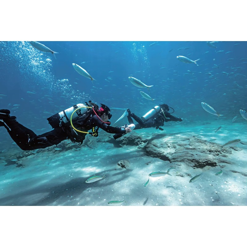 High-Speed Electric Underwater - Snorkel Dry Top review and price